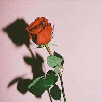 开全站登录app截图